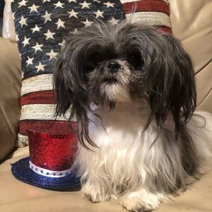 Meet your Posher, Nancy